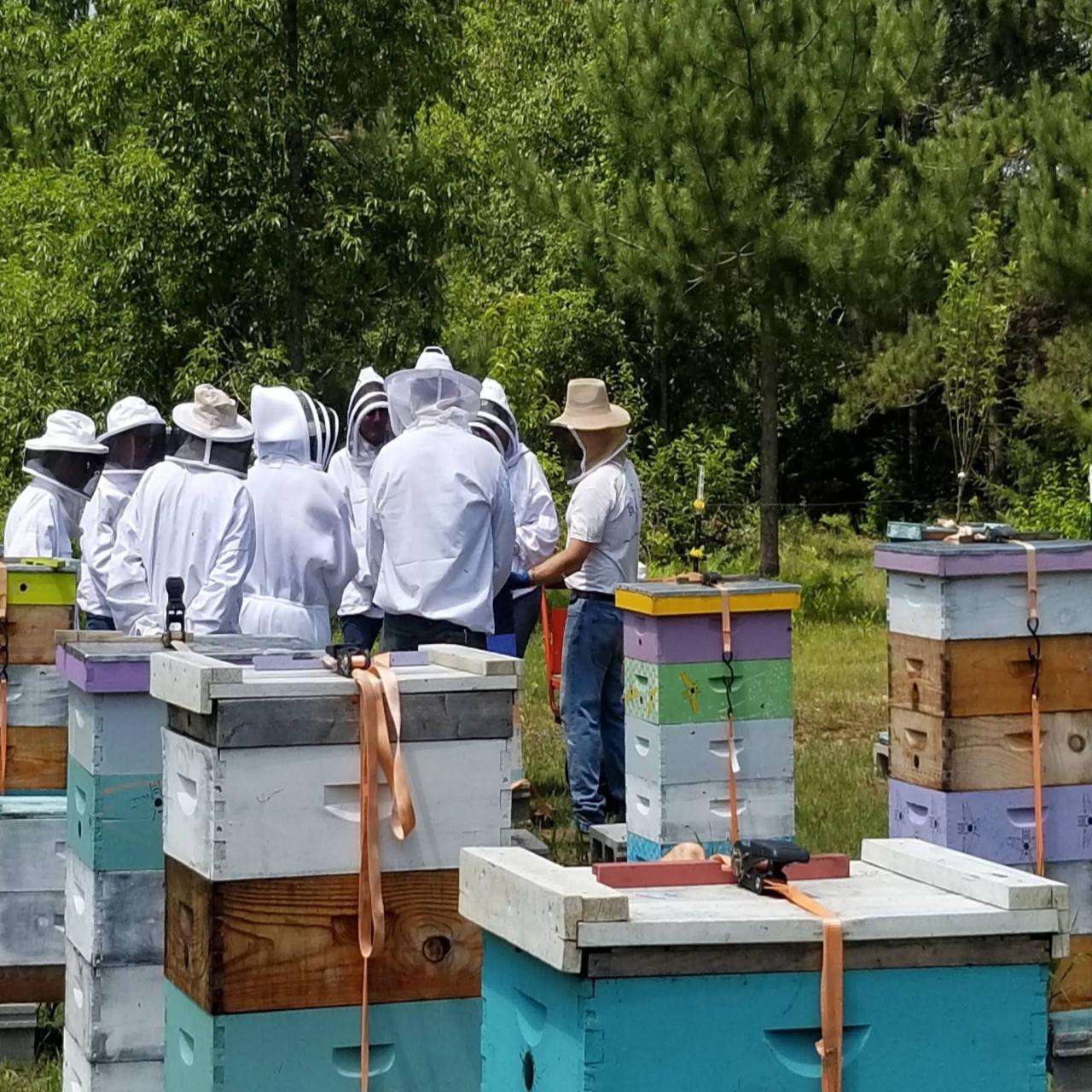 Beekeeping Workshops – Bee Wise Farms, LLC