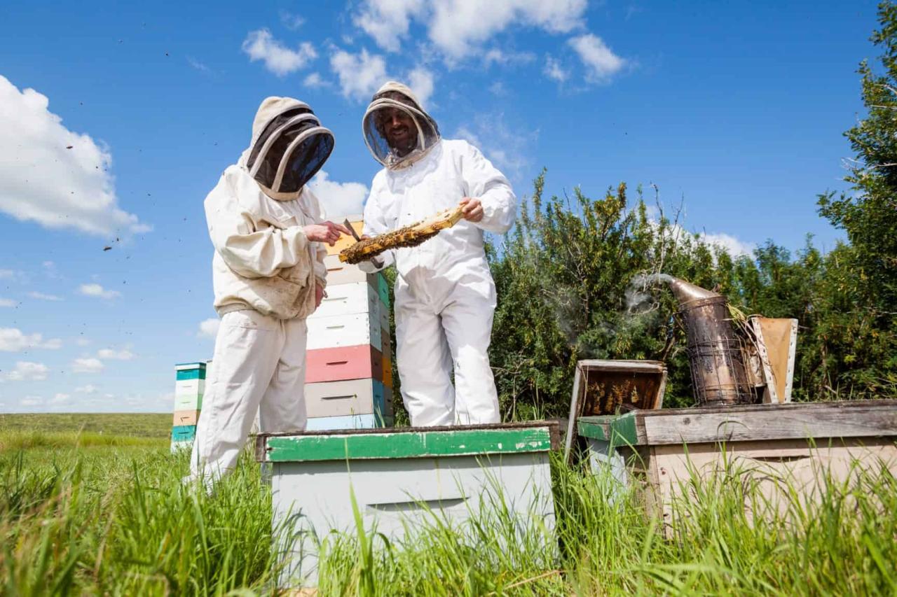 Local Beekeeping Associations Help Beekeepers- Carolina Honeybees