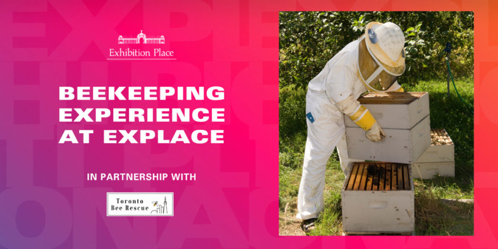 Advanced Beekeeping Course - Steve Honey Bee Farm