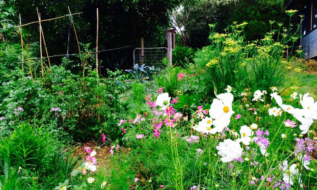 How to create a bee-friendly garden. - Our Permaculture Life
