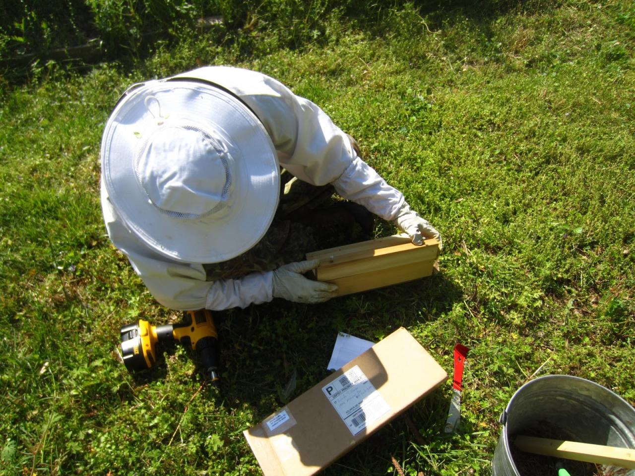 Small Hive Beetle Trap Small Hive Beetle Trap