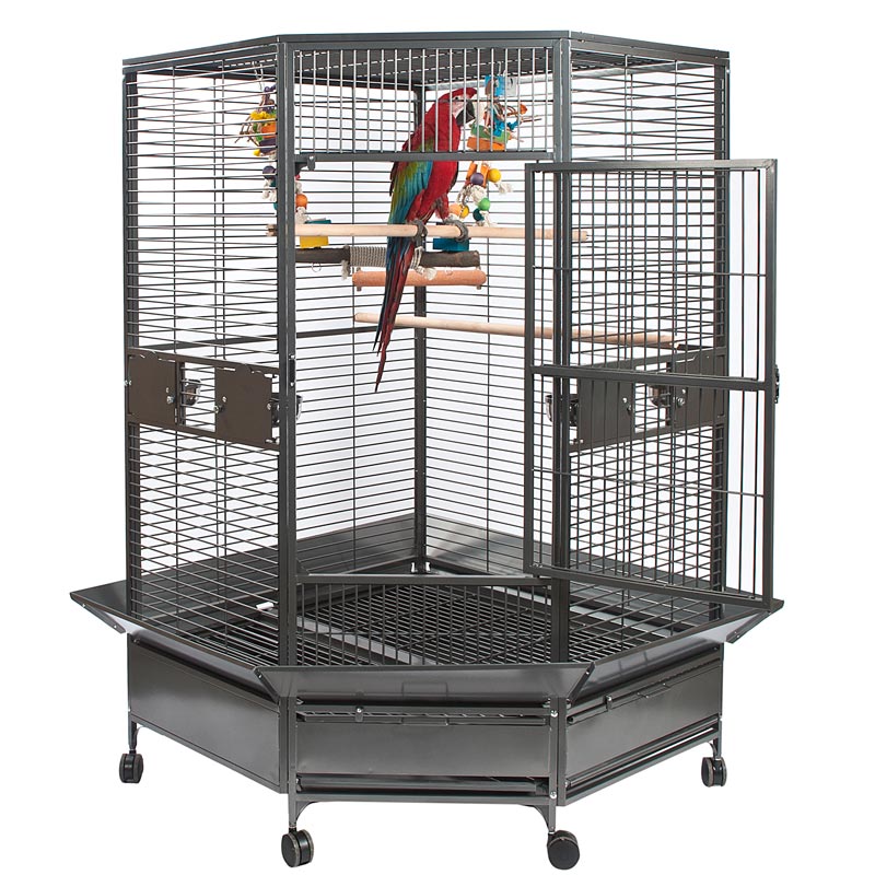 Rainforest Toronto Large Corner Parrot Cage | Parrotize UK