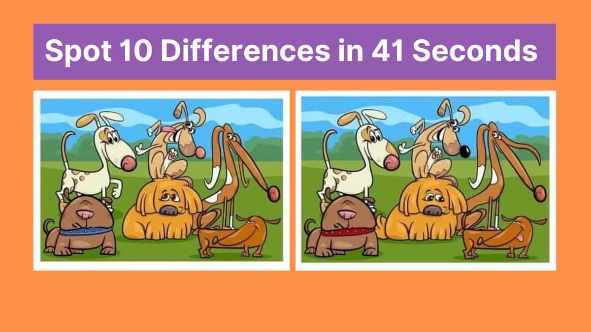 10 Super Fun Spot the Difference Puzzles to Test Your Visual Skills!