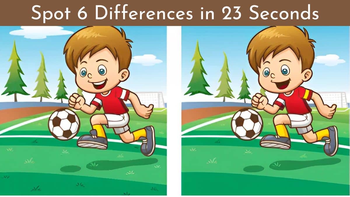Spot The Difference: Can you spot 6 differences in 23 seconds?