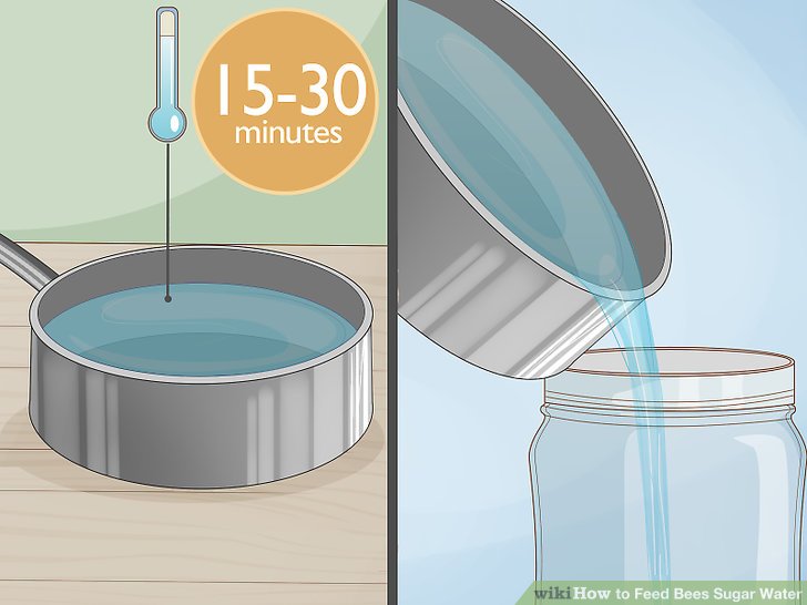 How to Feed Bees Sugar Water: 13 Steps (with Pictures) - wikiHow