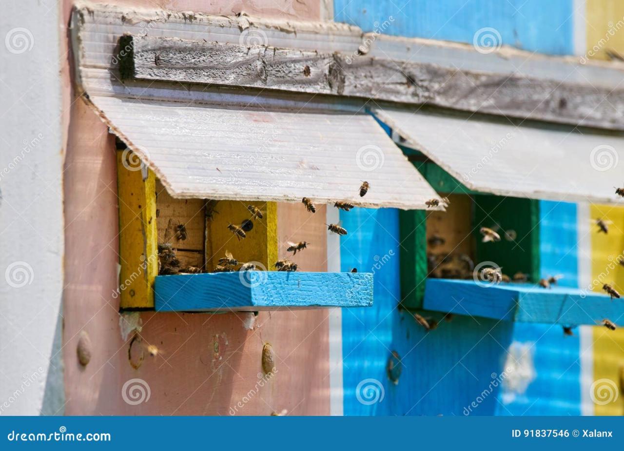 Truck with Hives in the Glade. Car for Transporting Beehives Stock ... Truck with Hives in the Glade. Car for Transporting Beehives Stock ...