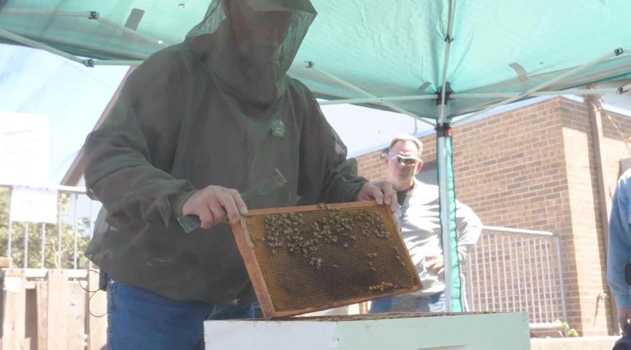 Beekeeper Training - World Renew Beekeeper Training - World Renew