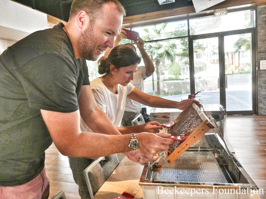 Beekeeping Workshops – beekeepers