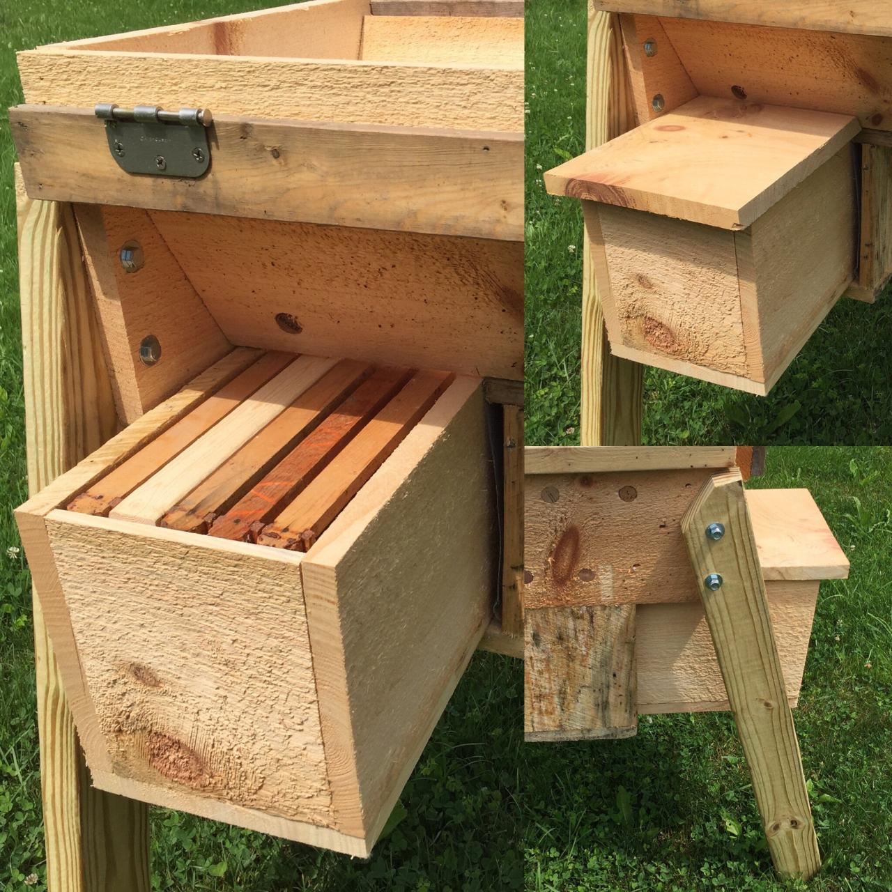 Top Bar Hive Design at Phillip Pusey blog