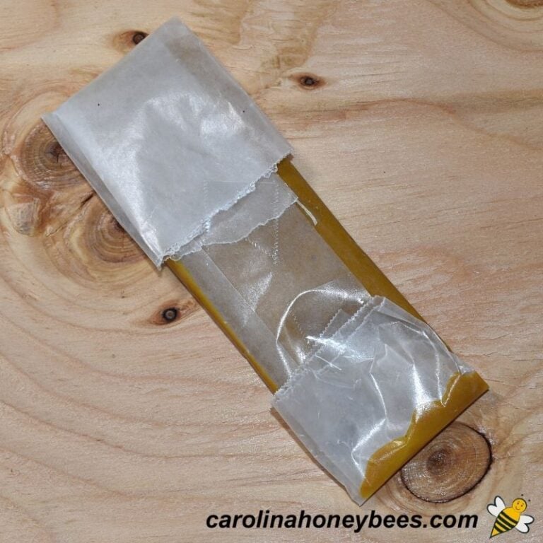 How to Make Pollen Patties for Bees - Carolina Honeybees