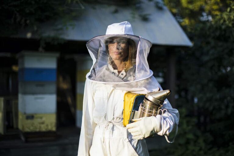 How Much Does It Cost To Become A Beekeeper - INFOLEARNERS How Much Does It Cost To Become A Beekeeper - INFOLEARNERS