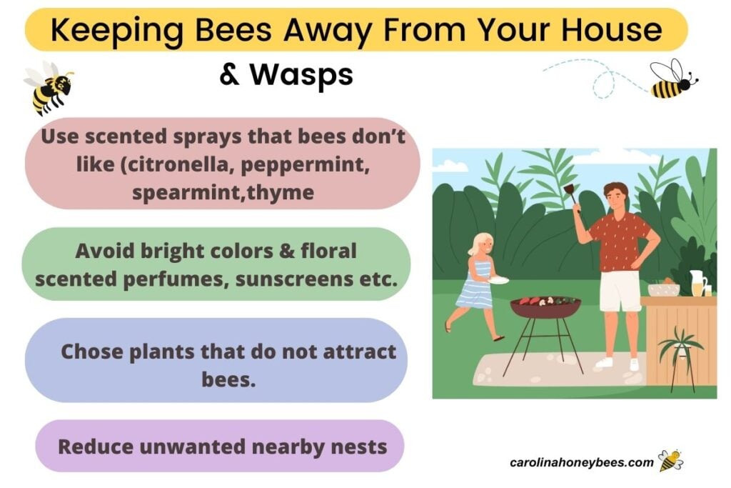 Beginner's Guide To Keeping Bees | Homesteading Tips