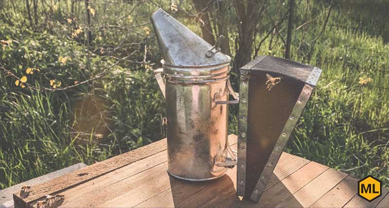 3 Ways to Keep Bees - wikiHow Pet