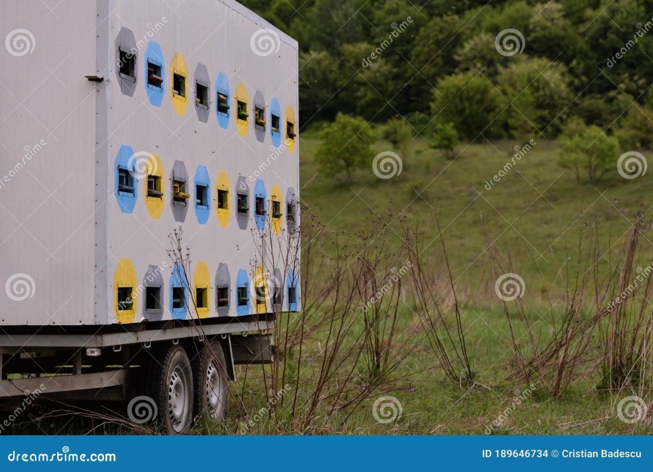 Truck with Hives in the Glade. Car for Transporting Beehives Stock ... Truck with Hives in the Glade. Car for Transporting Beehives Stock ...