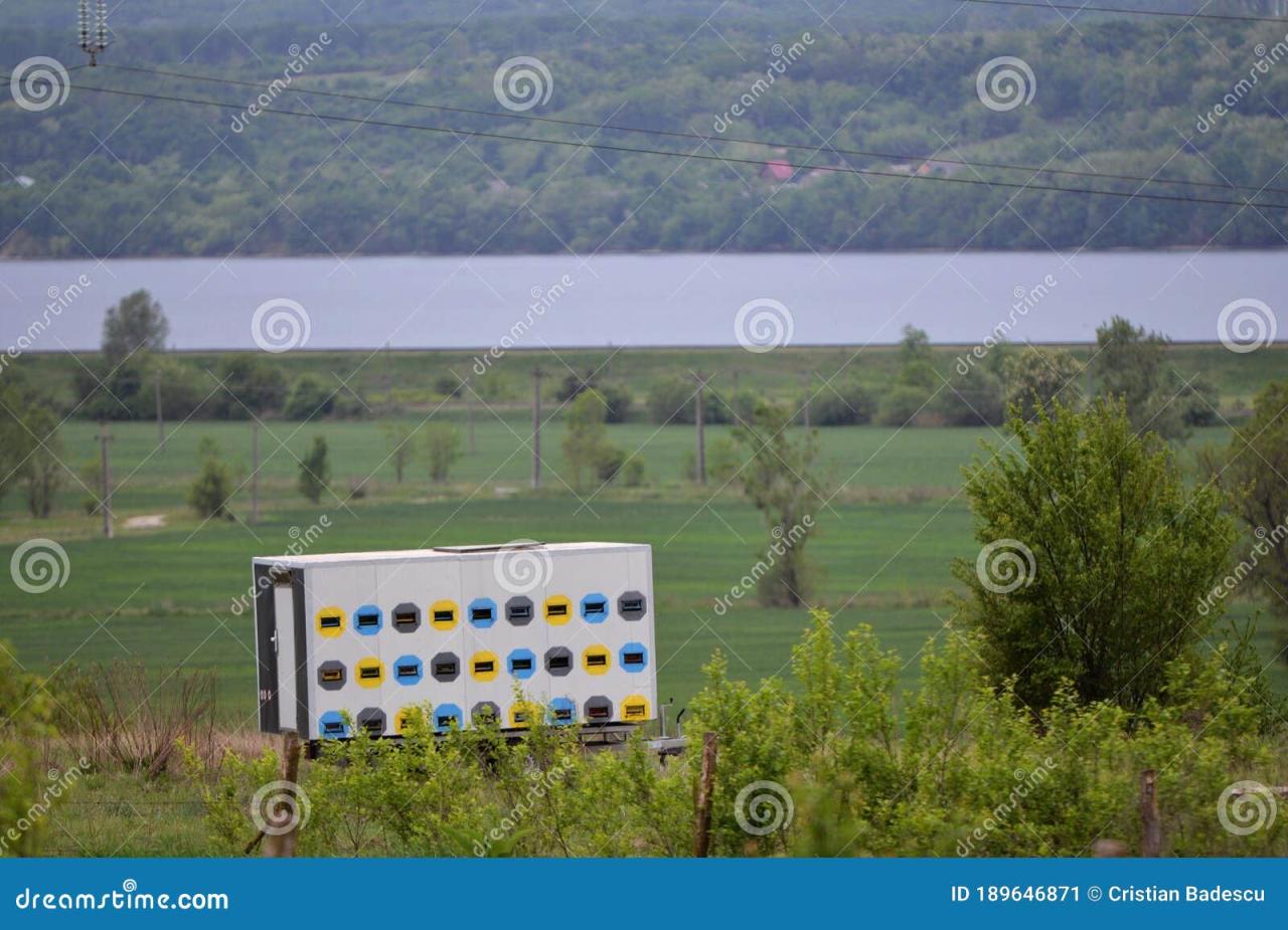 Truck with Hives in the Glade. Car for Transporting Beehives Stock ... Truck with Hives in the Glade. Car for Transporting Beehives Stock ...
