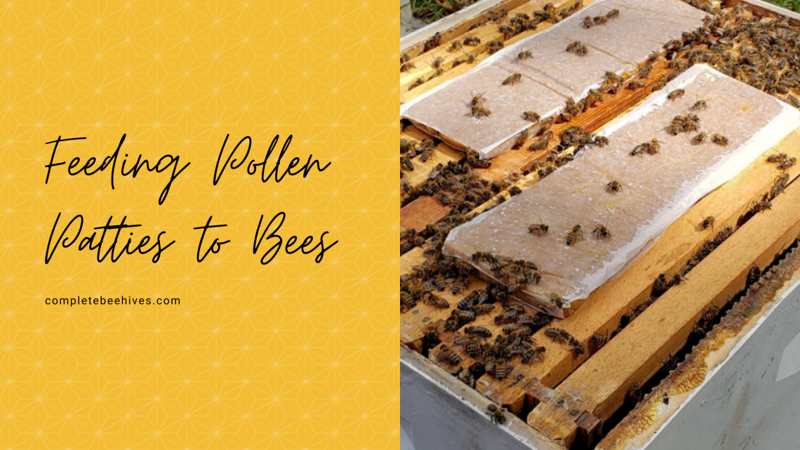 Pollen Patties – Are They Necessary? - BeeKeepClub
